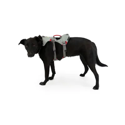 RUFFWEAR Doubleback™ Sicherheitsgeschirr RUFFWEAR Doubleback™ Sicherheitsgeschirr