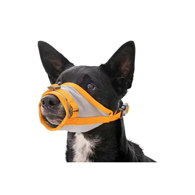 RUFFWEAR BackTrak™ Evakuierungsset für Hunde RUFFWEAR BackTrak™ Evakuierungsset für Hunde