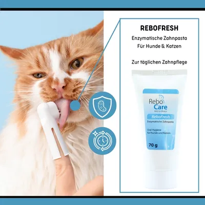 reboVet ReboFresh Enzymatische Zahnpasta reboVet ReboFresh Enzymatische Zahnpasta