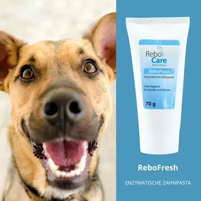 reboVet ReboFresh Enzymatische Zahnpasta reboVet ReboFresh Enzymatische Zahnpasta