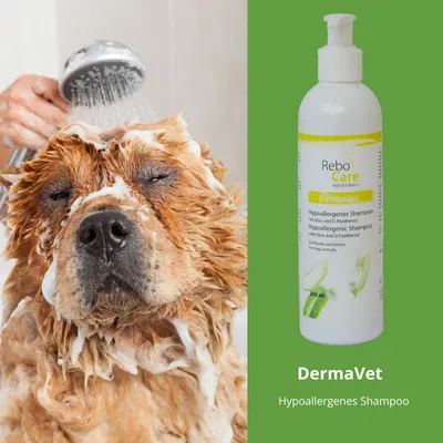 ReboCare DermaVet Hypoallergenes Shampoo ReboCare DermaVet Hypoallergenes Shampoo