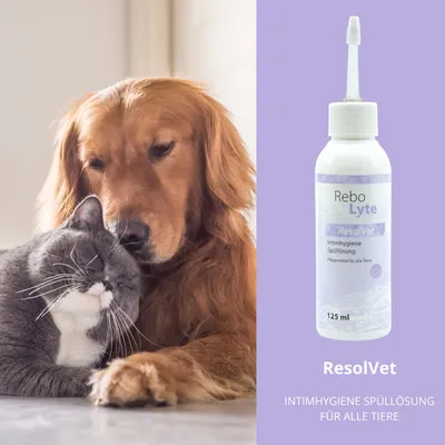 reboVet ResolVet Intimhygiene Spüllösung reboVet ResolVet Intimhygiene Spüllösung