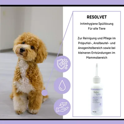 reboVet ResolVet Intimhygiene Spüllösung reboVet ResolVet Intimhygiene Spüllösung