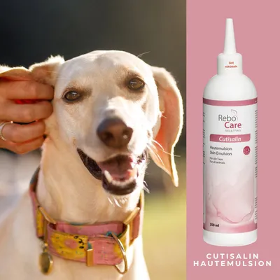reboVet Cutisalin reboVet Cutisalin