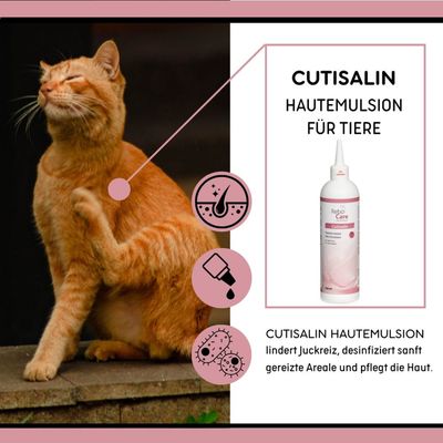 reboVet Cutisalin