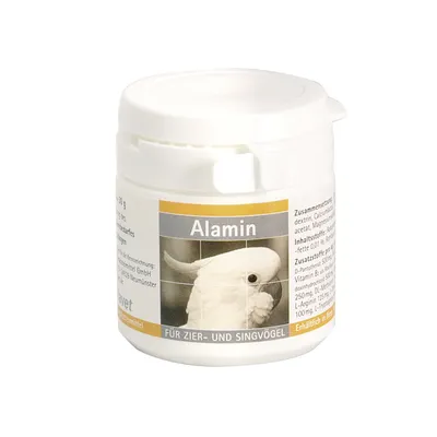 Alfavet Alamin Alfavet Alamin