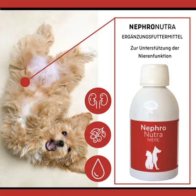 reboVet NephroNutra reboVet NephroNutra