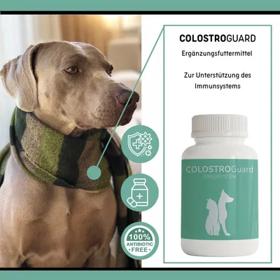 reboVet COLOSTROGuard reboVet COLOSTROGuard