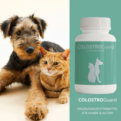 reboVet COLOSTROGuard reboVet COLOSTROGuard