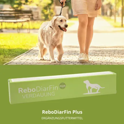 reboVet ReboDiarFin Plus Paste Injektor reboVet ReboDiarFin Plus Paste Injektor