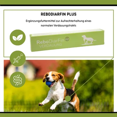 reboVet ReboDiarFin Plus Paste Injektor reboVet ReboDiarFin Plus Paste Injektor
