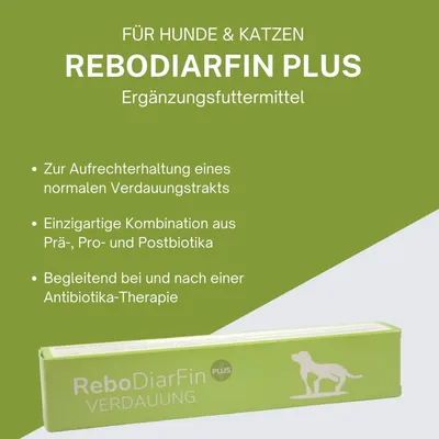 reboVet ReboDiarFin Plus Paste Injektor reboVet ReboDiarFin Plus Paste Injektor