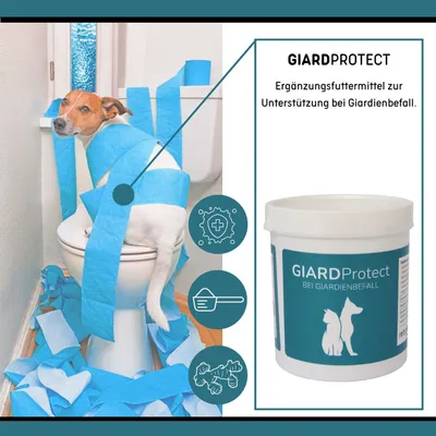 reboVet GiardProtect reboVet GiardProtect