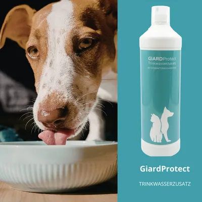 reboVet GiardProtect Trinkwasserzusatz reboVet GiardProtect Trinkwasserzusatz