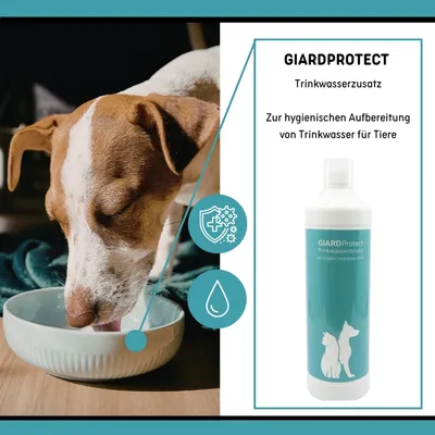 reboVet GiardProtect Trinkwasserzusatz reboVet GiardProtect Trinkwasserzusatz