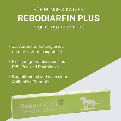 reboVet ReboDiarFin Plus Paste Injektor