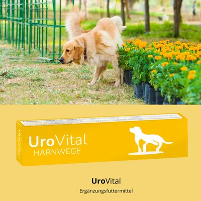reboVet UroVital reboVet UroVital