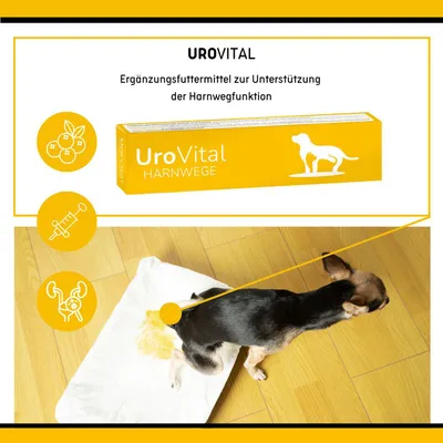 reboVet UroVital reboVet UroVital