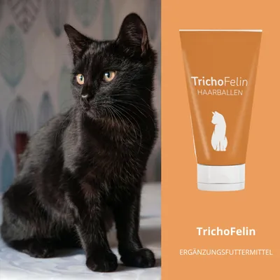 reboVet TrichoFelin Paste reboVet TrichoFelin Paste