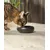 lionto gamelle pour chat en inox double paroi antidérapante lionto gamelle pour chat en inox double paroi antidérapante