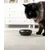 lionto gamelle pour chat en inox double paroi antidérapante