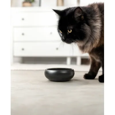 lionto gamelle pour chat en inox double paroi antidérapante