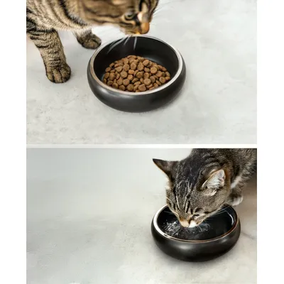 lionto gamelle pour chat en inox double paroi antidérapante