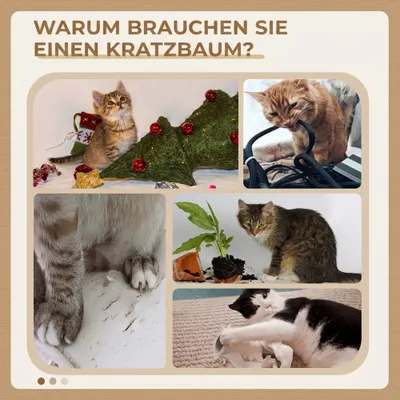 PawHut Kratzbaum