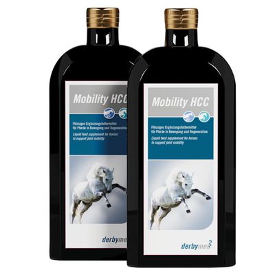 derbymed Mobility HCC
