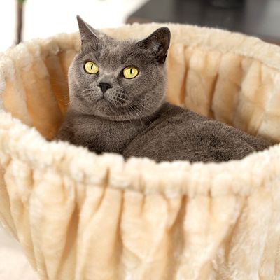 lionto hamac en peluche douce pour arbre à chat avec cadre métallique