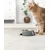 lionto gamelle pour chat en inox avec support mélamine antidérapant lionto gamelle pour chat en inox avec support mélamine antidérapant