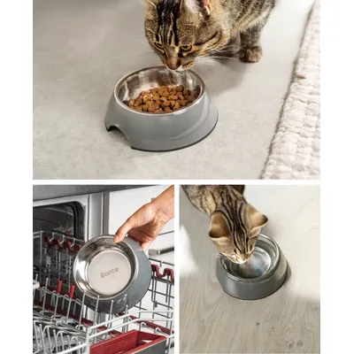 lionto gamelle pour chat en inox avec support mélamine antidérapant lionto gamelle pour chat en inox avec support mélamine antidérapant
