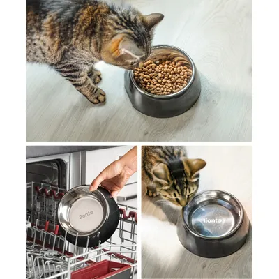 lionto gamelle pour chat en inox avec support mélamine antidérapant