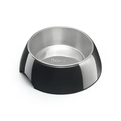 lionto gamelle pour chat en inox avec support mélamine antidérapant lionto gamelle pour chat en inox avec support mélamine antidérapant