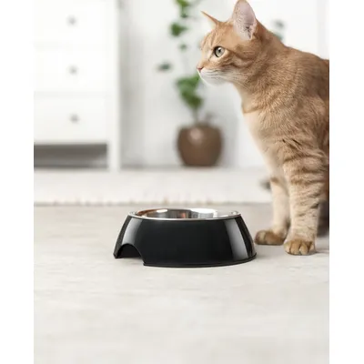 lionto gamelle pour chat en inox avec support mélamine antidérapant