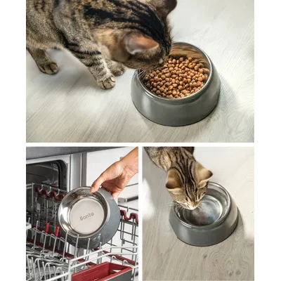 lionto gamelle pour chat en inox avec support mélamine antidérapant
