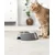 lionto gamelle pour chat en inox avec support mélamine antidérapant