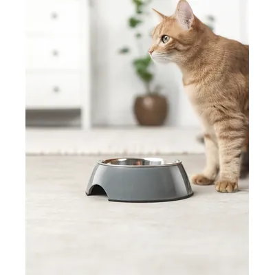 lionto gamelle pour chat en inox avec support mélamine antidérapant