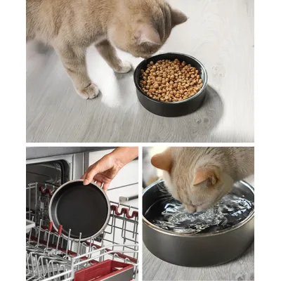 lionto gamelle pour chat en inox double paroi antidérapante