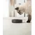 lionto gamelle pour chat en inox double paroi antidérapante