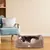 Ferplast Sofa aus weichem Mikrofleece für Hunde und Katzen. COCCOLO