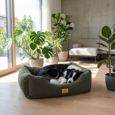 Ferplast Petit canapé rembourré en micropolaire pour chiens COCCOLO