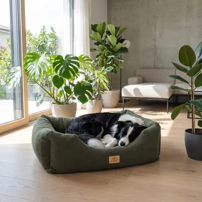 Ferplast Sofa aus weichem Mikrofleece für Hunde und Katzen. COCCOLO