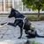 Ferplast Harnais réfléchissant rembourré pour chiens DAYTONA DELUXE