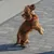 Ferplast Harnais réfléchissant rembourré pour chiens DAYTONA DELUXE