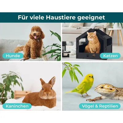 HomePetLab Giardien Schnelltest für Hunde & Katzen HomePetLab Giardien Schnelltest für Hunde & Katzen