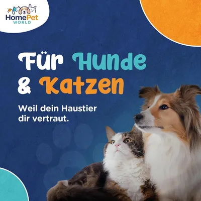 HomePetWorld Bürste HomePetWorld Bürste