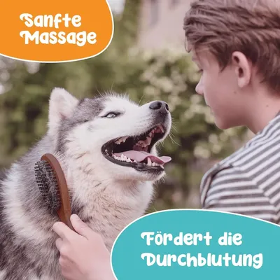 HomePetWorld Bürste HomePetWorld Bürste