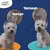 HomePetWorld Bürste HomePetWorld Bürste