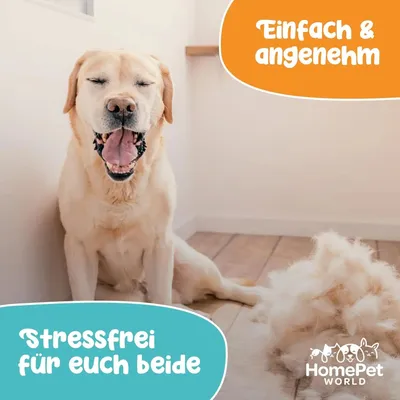 HomePetWorld Bürste HomePetWorld Bürste